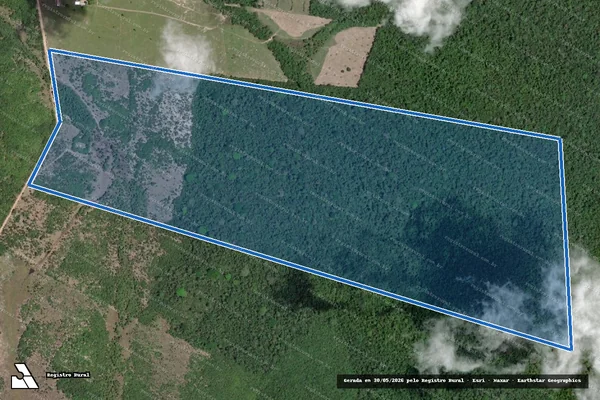 Imagem de satélite de FAZENDA PANTANAL - Parte 1 em Cantá - RR