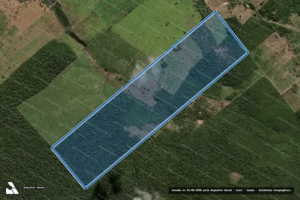 Imagem de satélite de LOTE 58 DA GLEBA 18 DO PIC/BC - Parcela 1 em Barra do Corda - MA