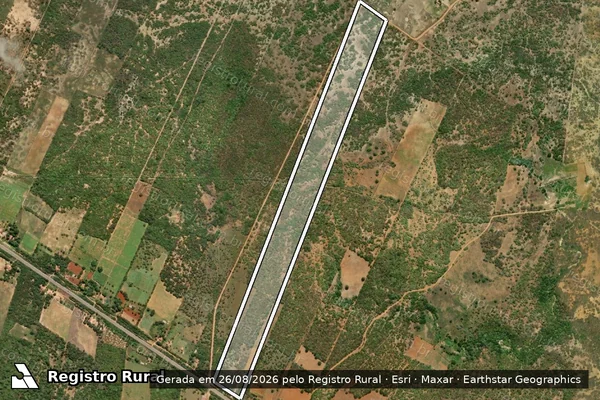 Imagem de satélite de PA FAZENDA PALHEIROS - LOTE 301 - Parte 1 em Açu - RN