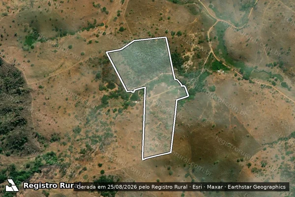 Imagem de satélite de SITIO AGUA LIMPA - 001 em Fernandes Tourinho - MG