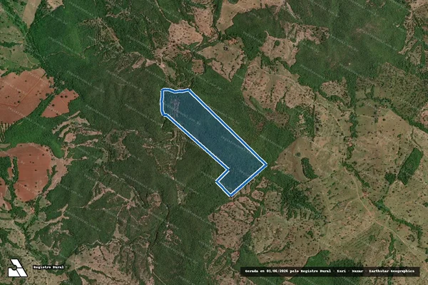 Imagem de satélite de FAZENDA BARRA VERMELHA - Gleba 02 em Buriti Alegre - GO