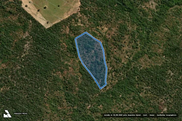 Imagem de satélite de Reserva Legal 24 – Projeto de Assentamento Monte Sinai