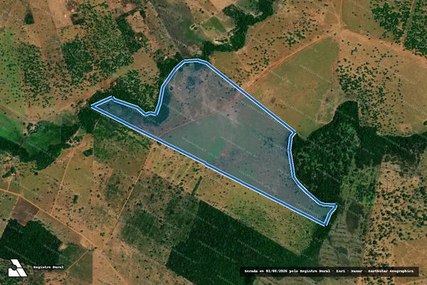 Imagem de satélite de FAZENDA CANTO DO RIO - FAZENDA ALIANÇA I em Sítio Novo - MA