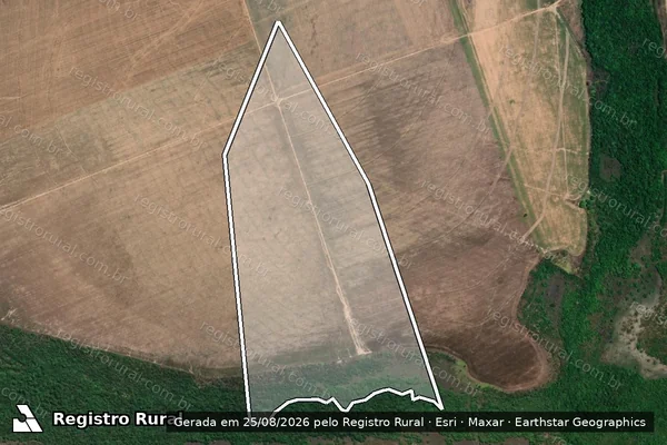 Imagem de satélite de FAZENDA CURITIBA ? Lote 06, do Loteamento Forges, 3ª Etapa - LOTE 06 em Peixe - TO