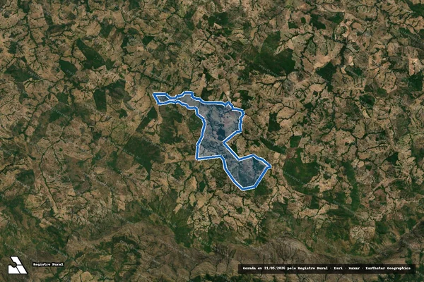 Imagem de satélite de FAZENDA ENGENHO NOVO em Goiás - GO