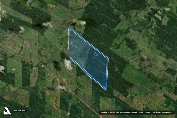 Imagem de satélite de FAZENDA FLORENTINA em Pacajá - PA