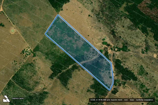 Imagem de satélite de Lote 24-Fazenda 2 Irmãs-P. A. Alvorada II - Lote 24 ? P1 em Amarante do Maranhão - MA
