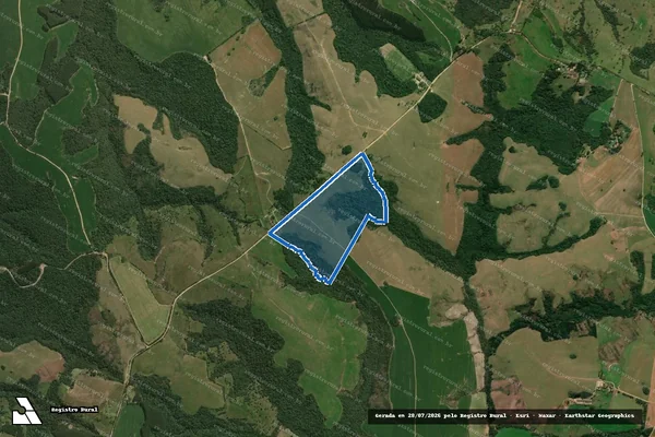 Imagem de satélite de Faz São Sebastião ? Talhão ?C? - Parte C-2 em Ipiranga - PR