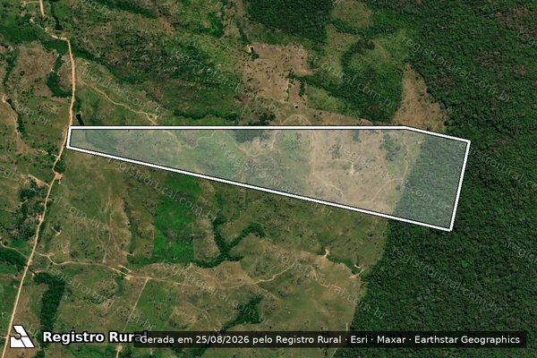 Imagem de satélite de Fazenda Santa Dominique - Parte/B em Ji-Paraná - RO