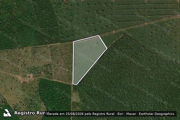 Imagem de satélite de FAZENDA SANTA LUZIA - LOTE 258 A_GLEBA FORTALEZA A - Parcela 1 em São João do Araguaia - PA