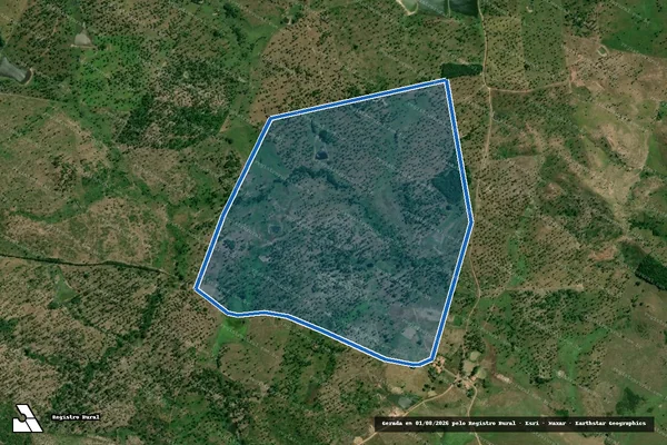 Imagem de satélite de FAZENDA BAIXA FRIA - Parcela 1 em Bom Lugar - MA
