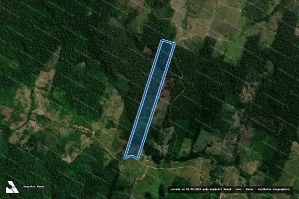 Imagem de satélite de LOTE 192 - PA RIO CURURUÍ - GLEBA TUERÊ - Parte 1 em Pacajá - PA