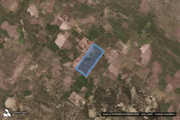 Imagem de satélite de LOTE 111 DO PA CASTANHEIRA - LOTE 111 DO PA CASTANHEIRA em Flores de Goiás - GO