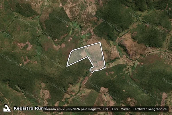 Imagem de satélite de FAZENDA BOA SORTE - Parte 1 em Medina - MG