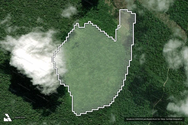 Imagem de satélite — Desmatamento ano-PRODES 2007 - Anapu/PA