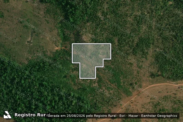Imagem de satélite — Desmatamento ano-PRODES 2007 - São Félix do Xingu/PA