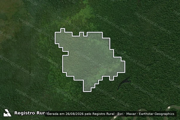 Imagem de satélite — Desmatamento ano-PRODES 2007 - Guajará-Mirim/RO