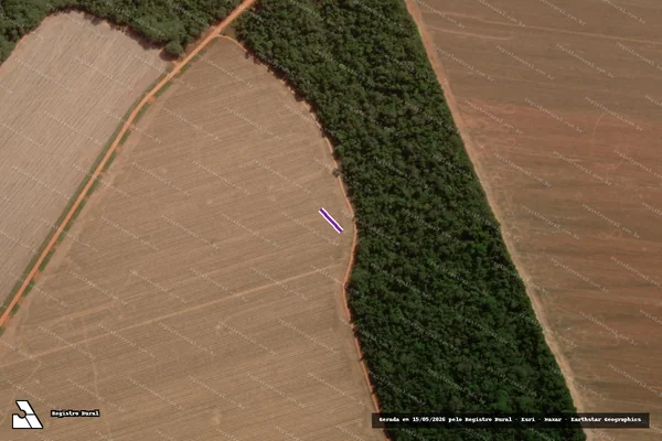 Imagem de satélite de Desmatamento classificado pelo INPE/PRODES no ano-PRODES 2007 em Nova Mutum - MT