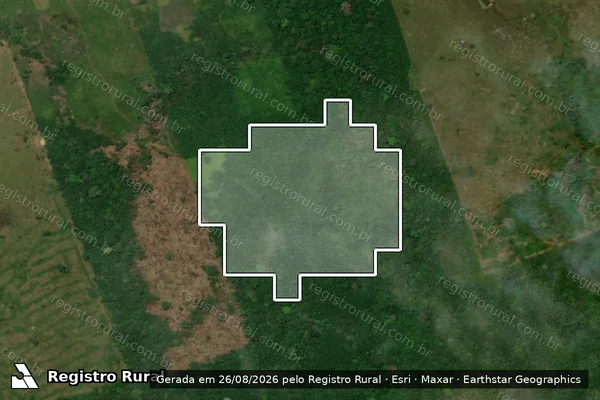 Imagem de satélite — Desmatamento ano-PRODES 2007 - Rorainópolis/RR