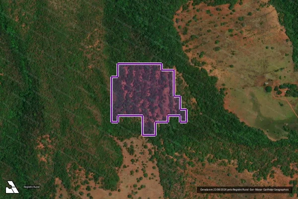 Imagem de satélite — Desmatamento ano-PRODES 2000 - Palestina de Goiás/GO