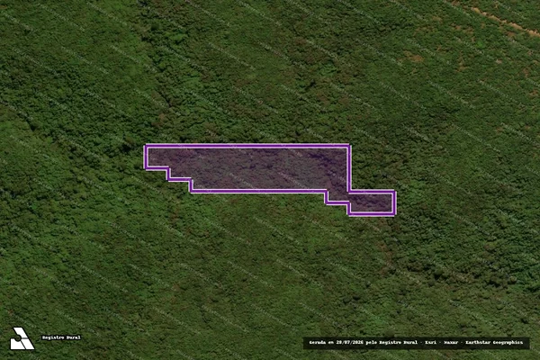 Imagem de satélite — Desmatamento ano-PRODES 2007 - Bom Jesus do Araguaia/MT
