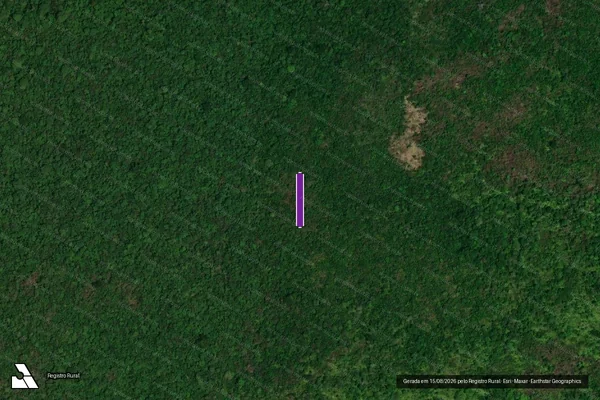 Imagem de satélite — Desmatamento ano-PRODES 2007 - Caracaraí/RR
