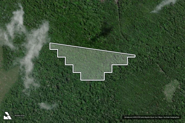 Imagem de satélite — Desmatamento ano-PRODES 2007 - Oeiras do Pará/PA
